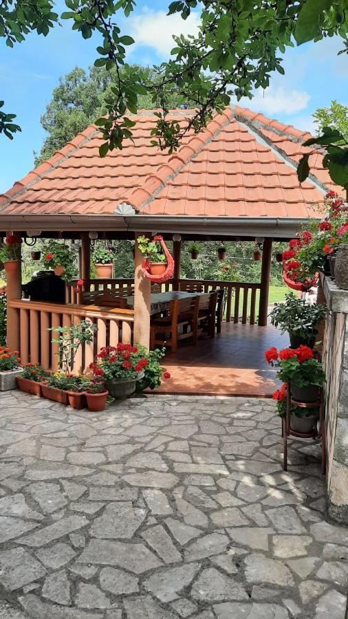 Apartmani "Dukic" Pelinovo Exterior foto