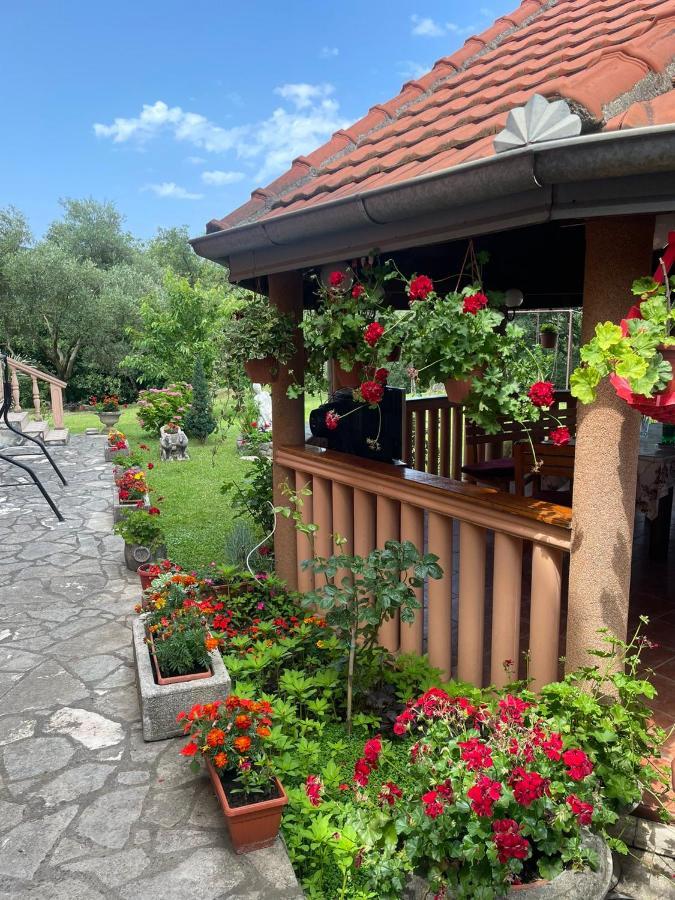 Apartmani "Dukic" Pelinovo Exterior foto