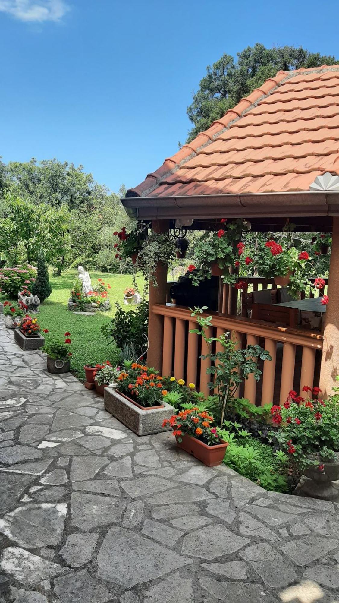 Apartmani "Dukic" Pelinovo Habitación foto