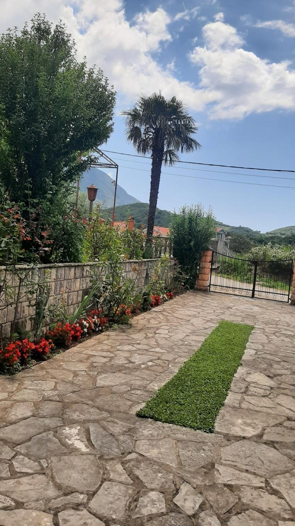 Apartmani "Dukic" Pelinovo Habitación foto