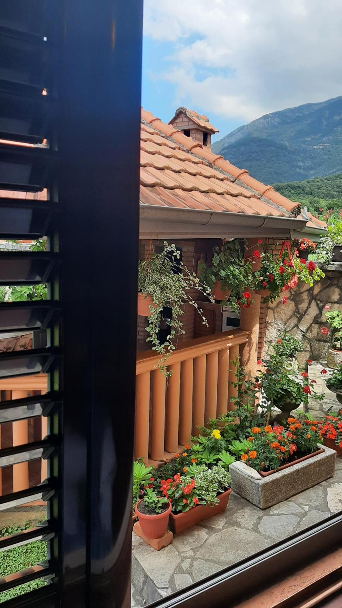 Apartmani "Dukic" Pelinovo Habitación foto