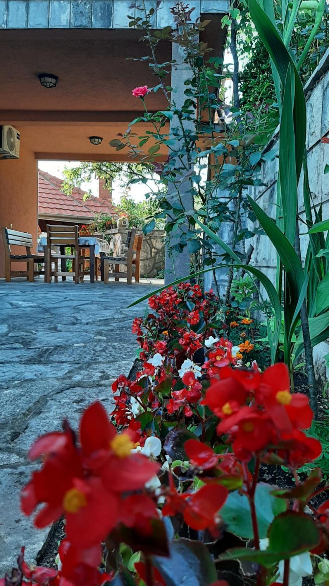 Apartmani "Dukic" Pelinovo Habitación foto