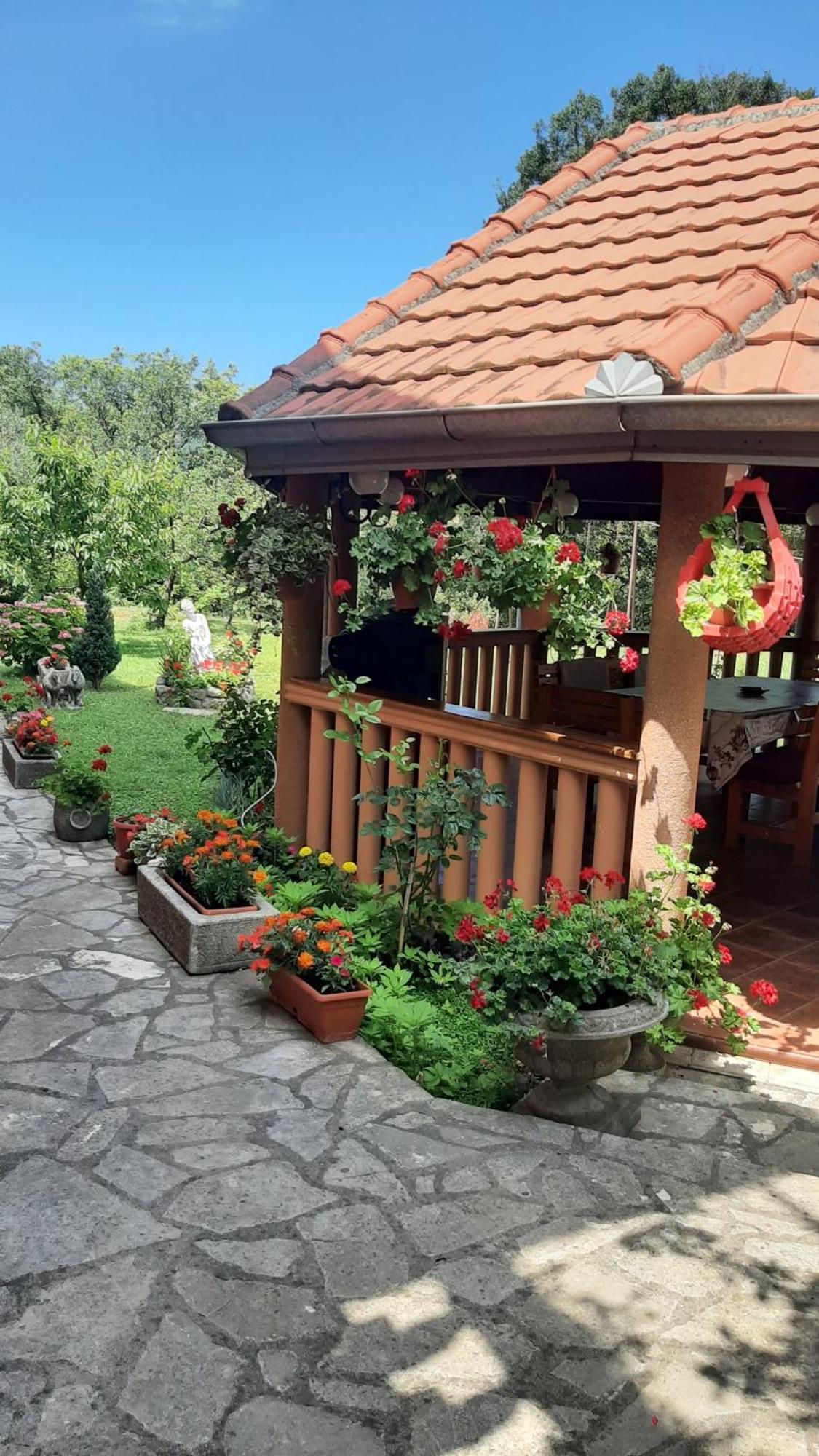 Apartmani "Dukic" Pelinovo Habitación foto