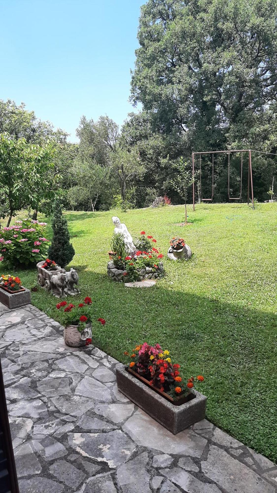 Apartmani "Dukic" Pelinovo Habitación foto