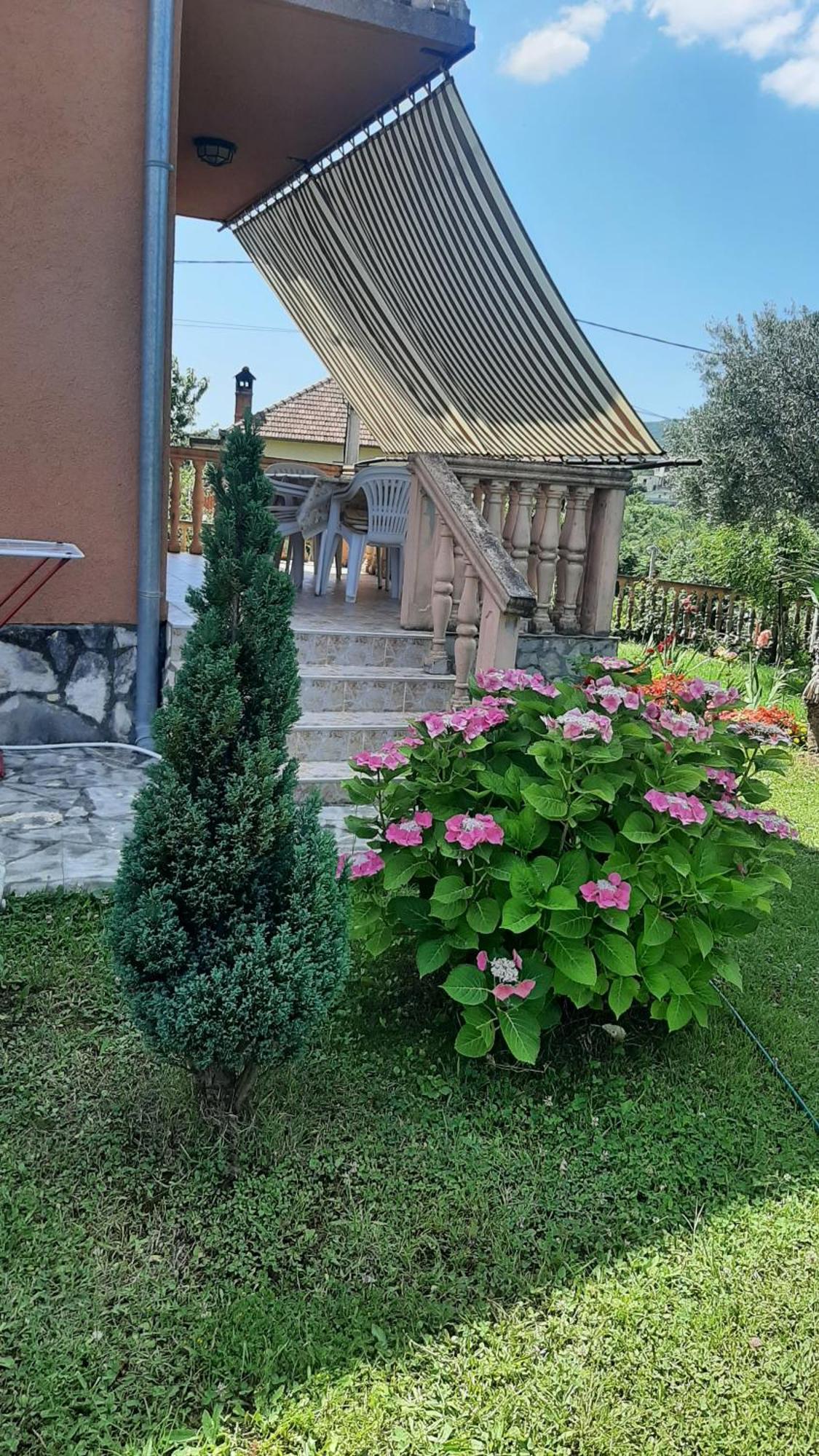 Apartmani "Dukic" Pelinovo Habitación foto