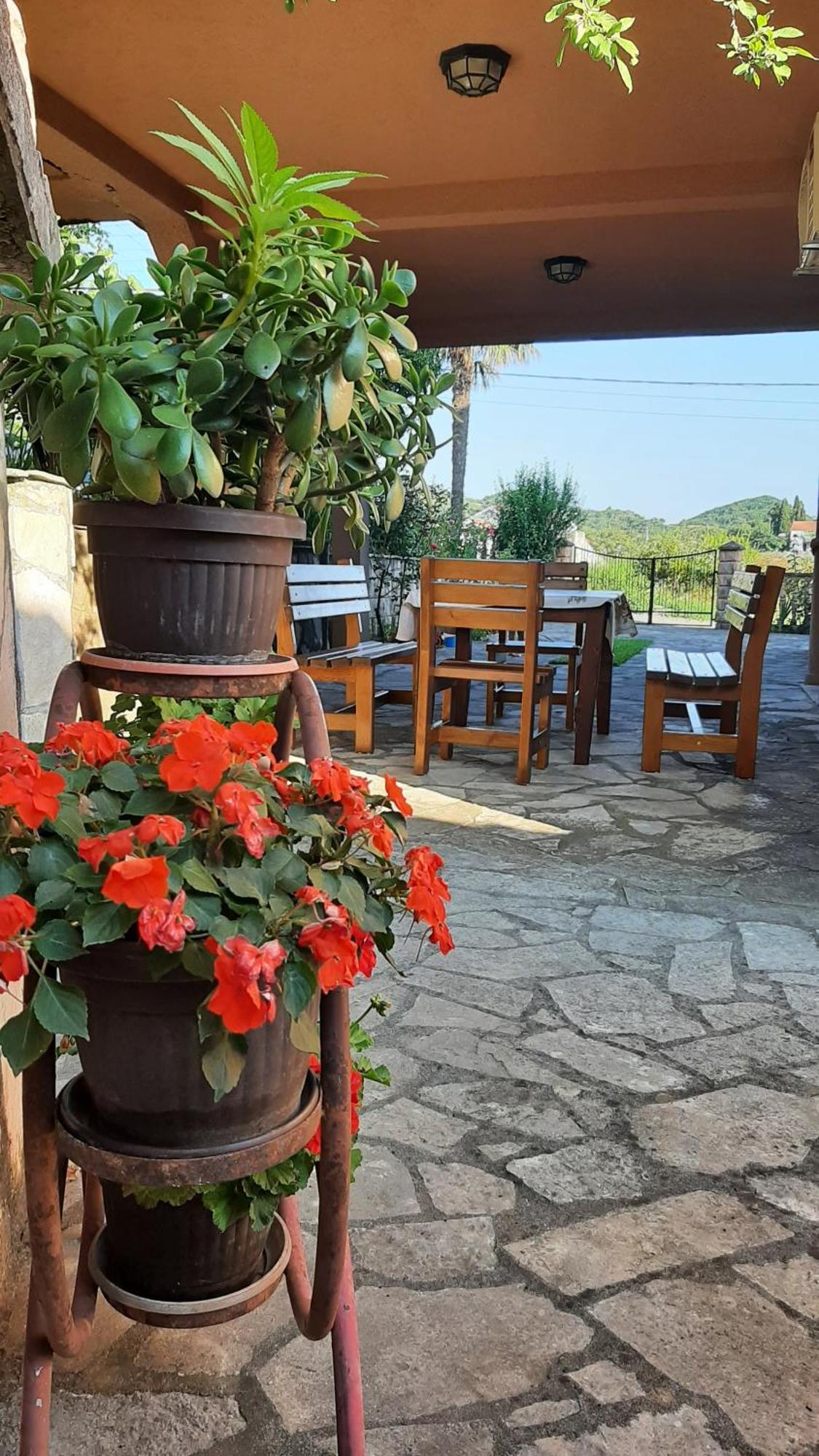 Apartmani "Dukic" Pelinovo Habitación foto